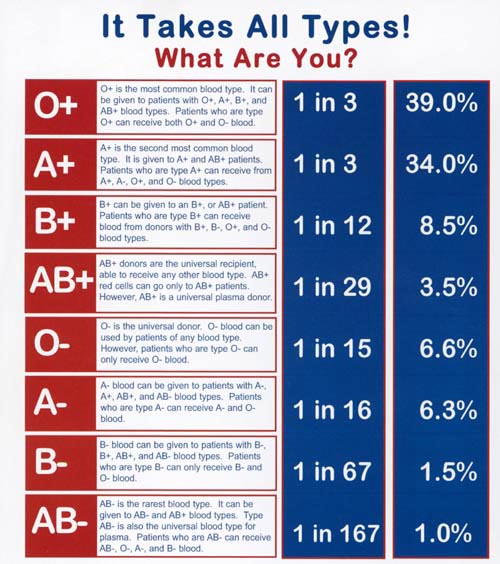 Blood Types Chart bloodtypeschart Ygraph