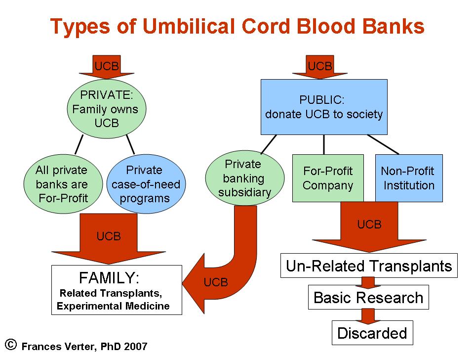 Cord Blood Banks Chart. Cord Blood Donation Centers. Umbilical ...
