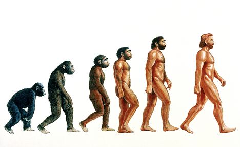 Evolution of Humans visual