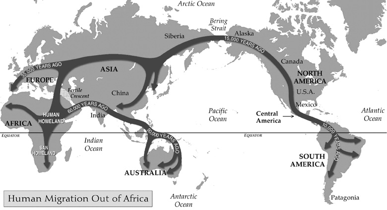 evolutionmodel-20120303T014202-anc7nz7.jpeg