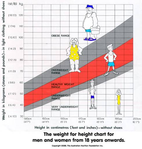 Average Women Weight