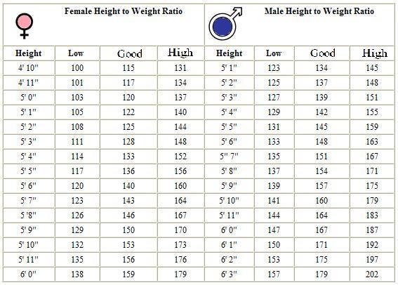 Average Weight Women