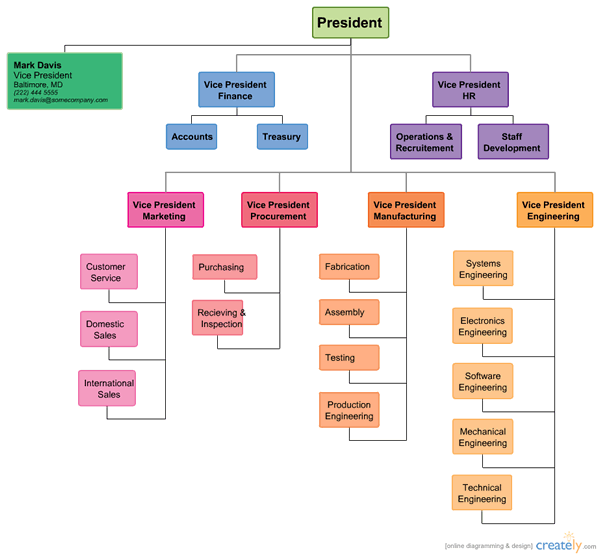 Samples Of Organizational Charts Template