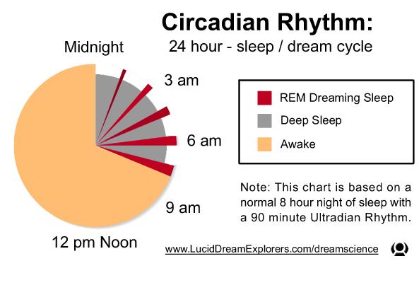 Teen Sleep Cycles The 18
