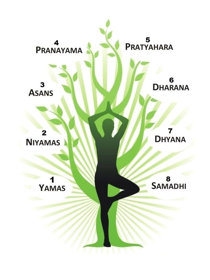 8 traditional limbs of yoga