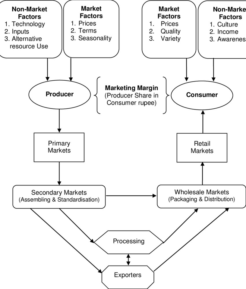 A Typical Market System