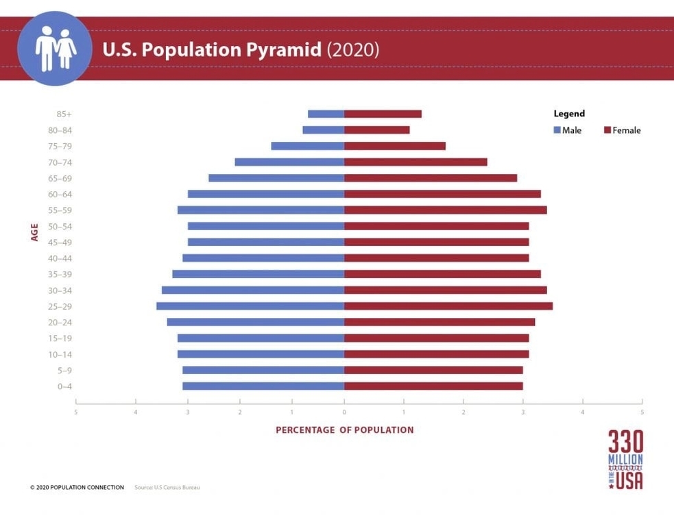 Age And Gender Distribution Of Us Population In 2020