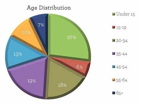 Age Distribution Pie Chart