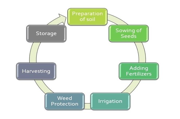 Ai Framework Agriculture