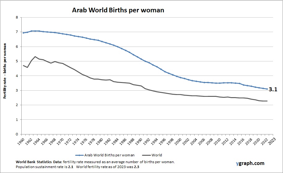 Arab World Births per woman