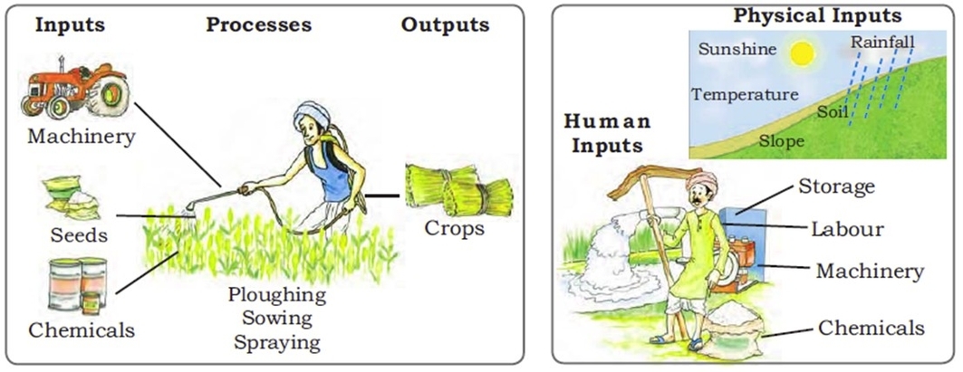 Arable Land And Crop Production