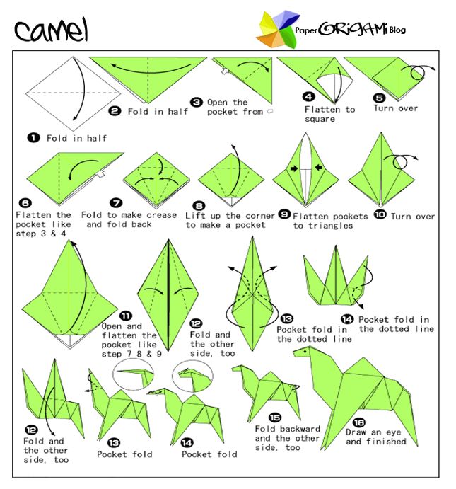 Camel paper origami guide