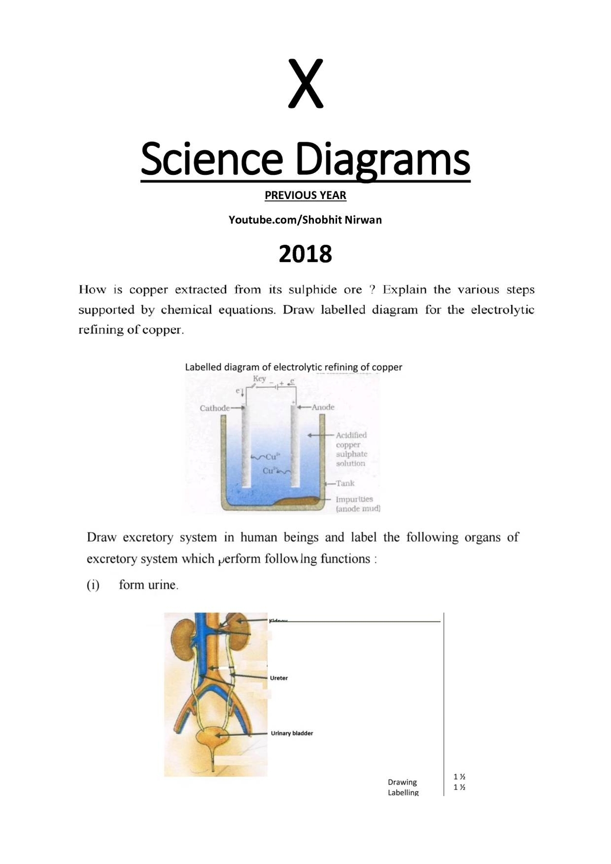 Class 10 Science Diagrams