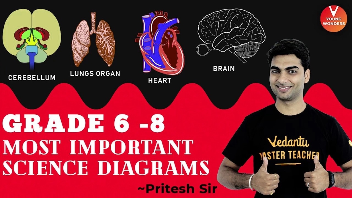 Class 6 Science Diagram
