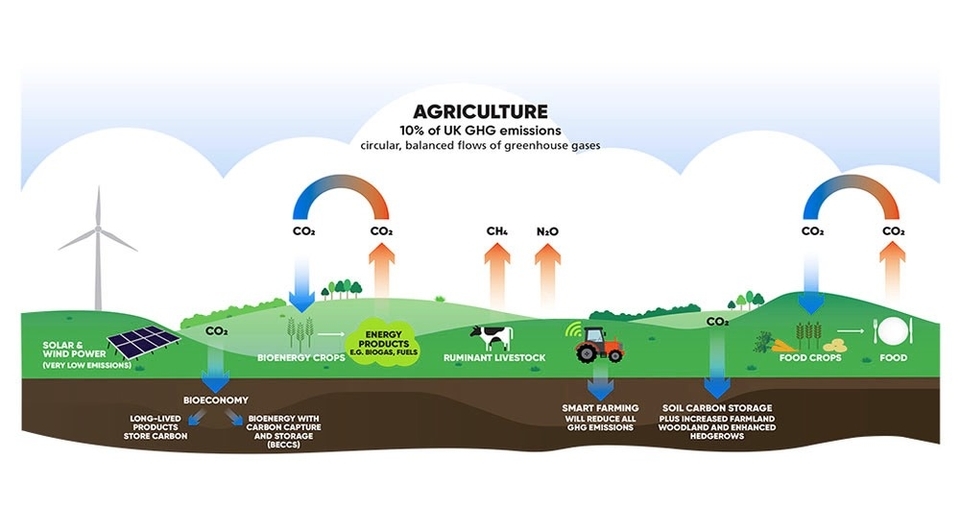 Climate Change And Agriculture