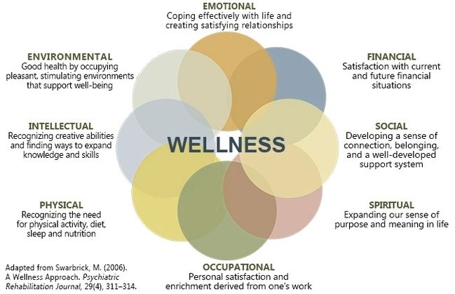 Components of happiness and wellness