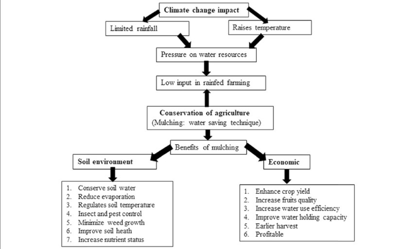 Conservation Of Agriculture Diagram