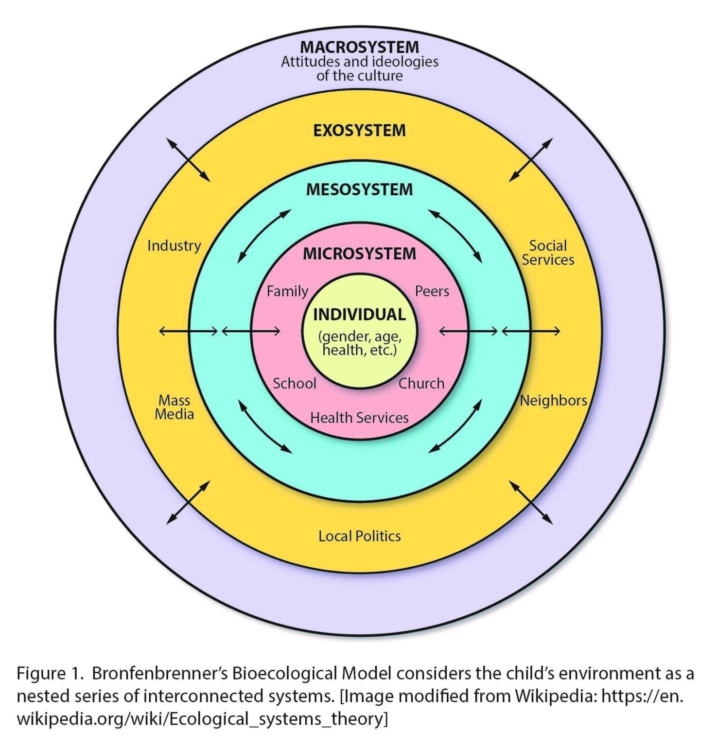 Cracking The Code: Mastering Emerging Adulthood For Ap Psychology - jcjak8m