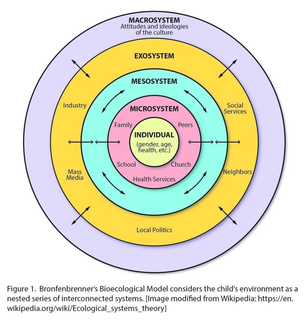 Developmental psychology diagram - Ygraph