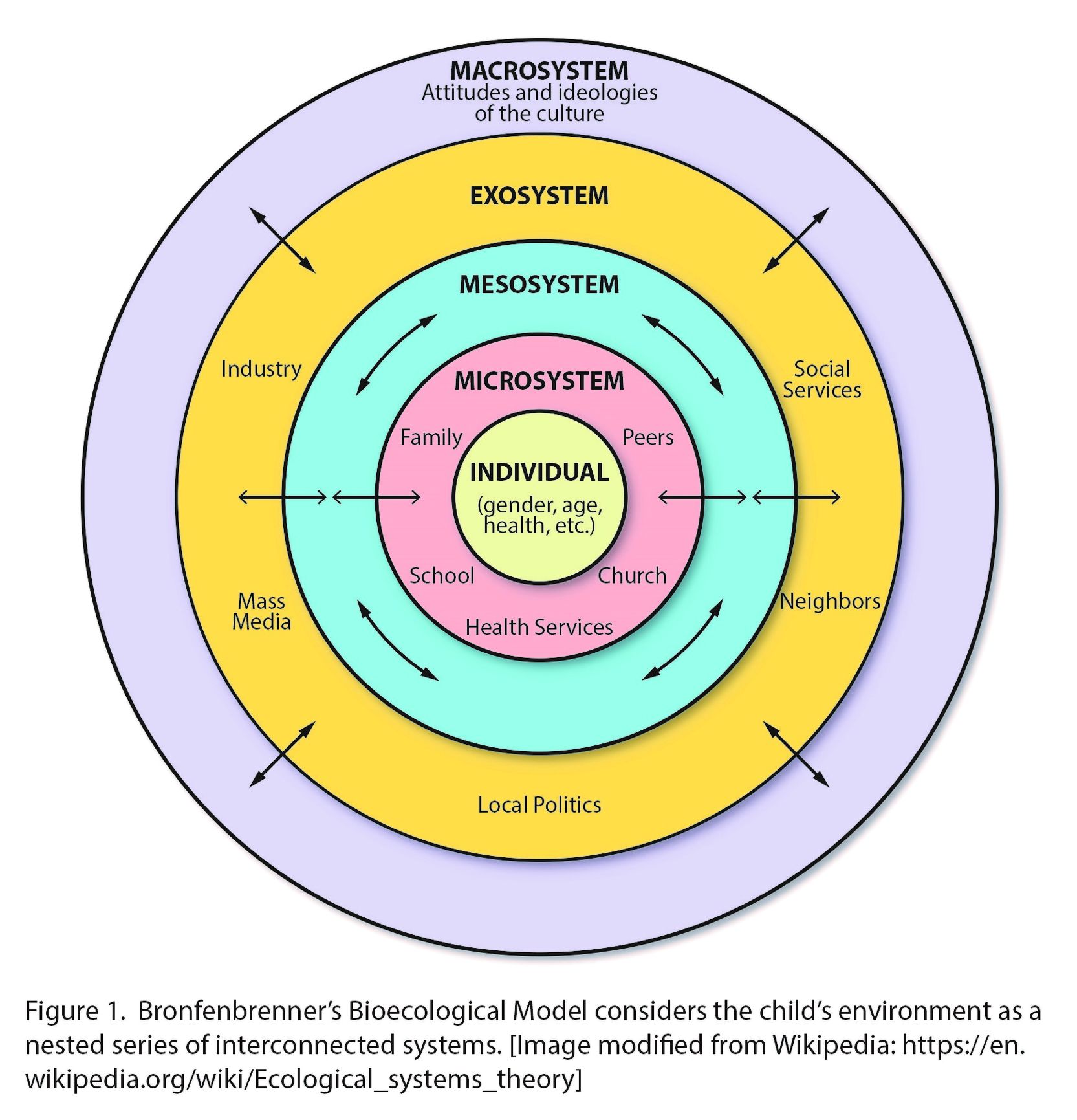 Developmental psychology diagram
