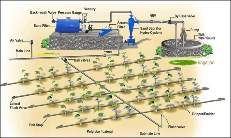 Diagram Based Question Of Agricultural Tools For Class 8