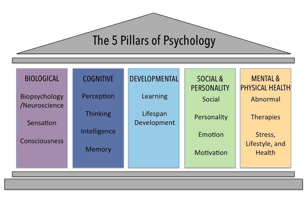 Fields In Cognitive Psychology