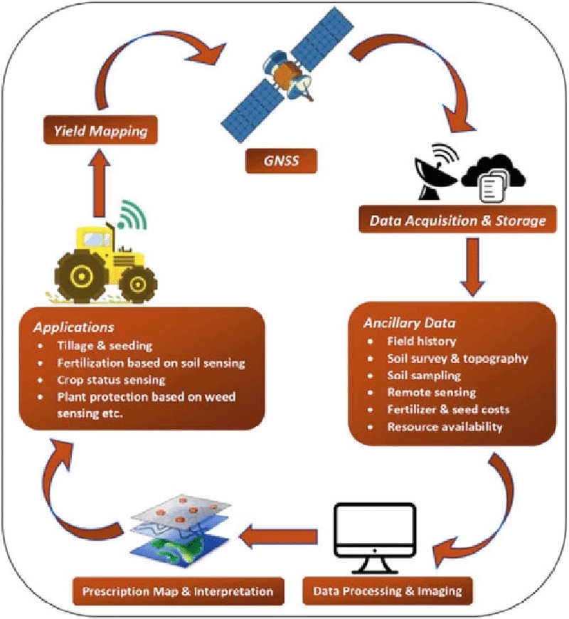 Flow Diagram Depicting Precision Agriculture In Crop Production