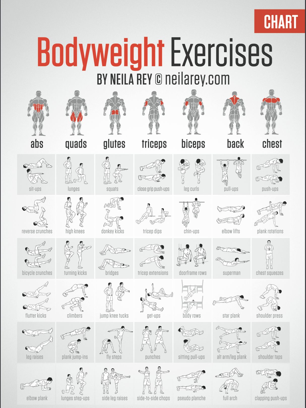 Free Bodyweight Exercise Chart Ygraph