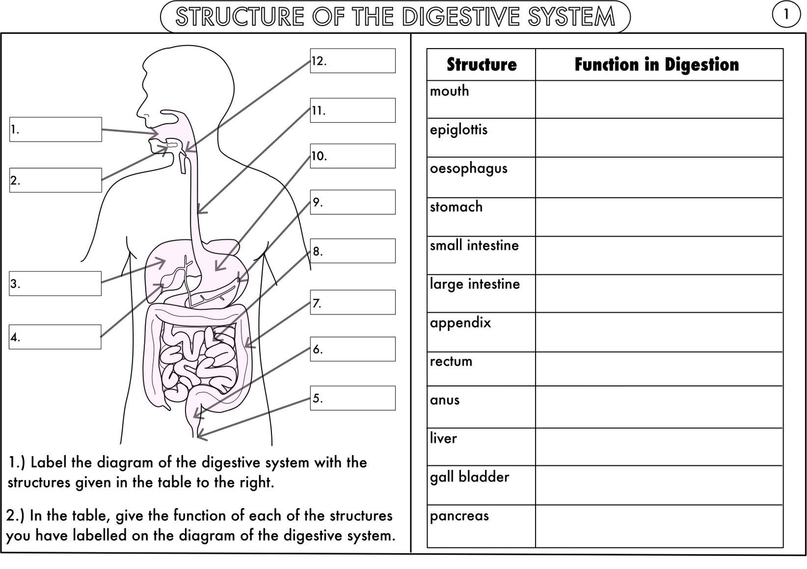 Gcse Biology Worksheet Pack