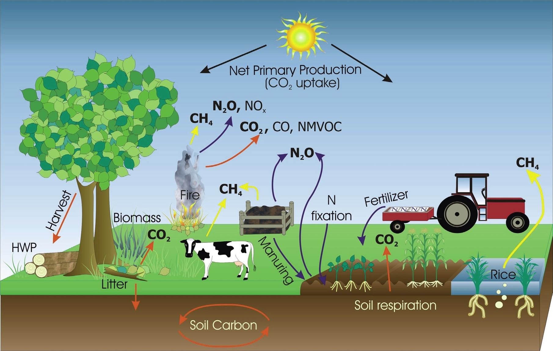 Greenhouse Gas Emissions From Farming