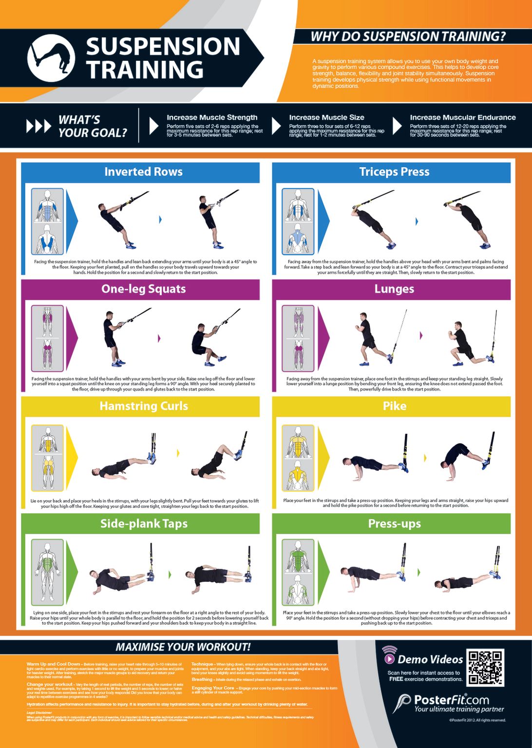 Gym and fitness chart suspension training