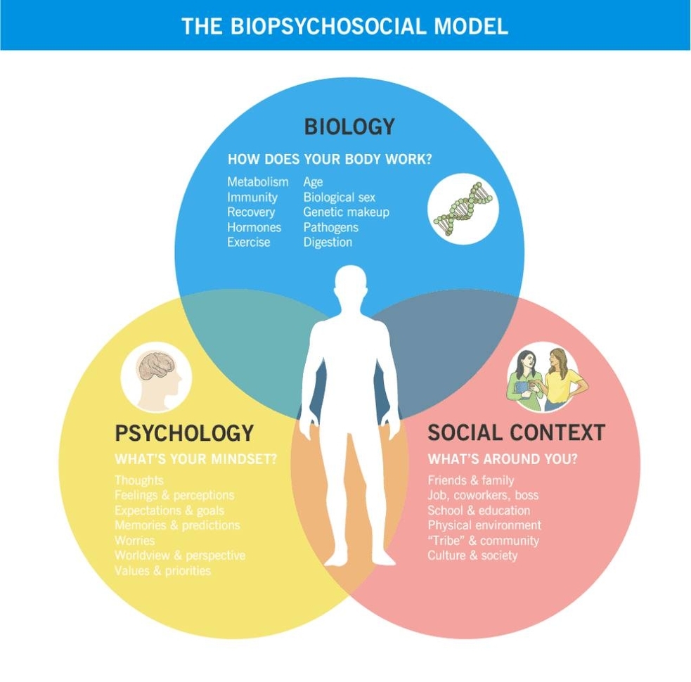 Health Venn Diagram Framework
