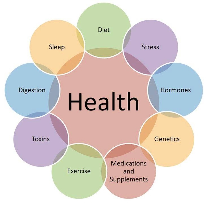 Holistic Health Diagram