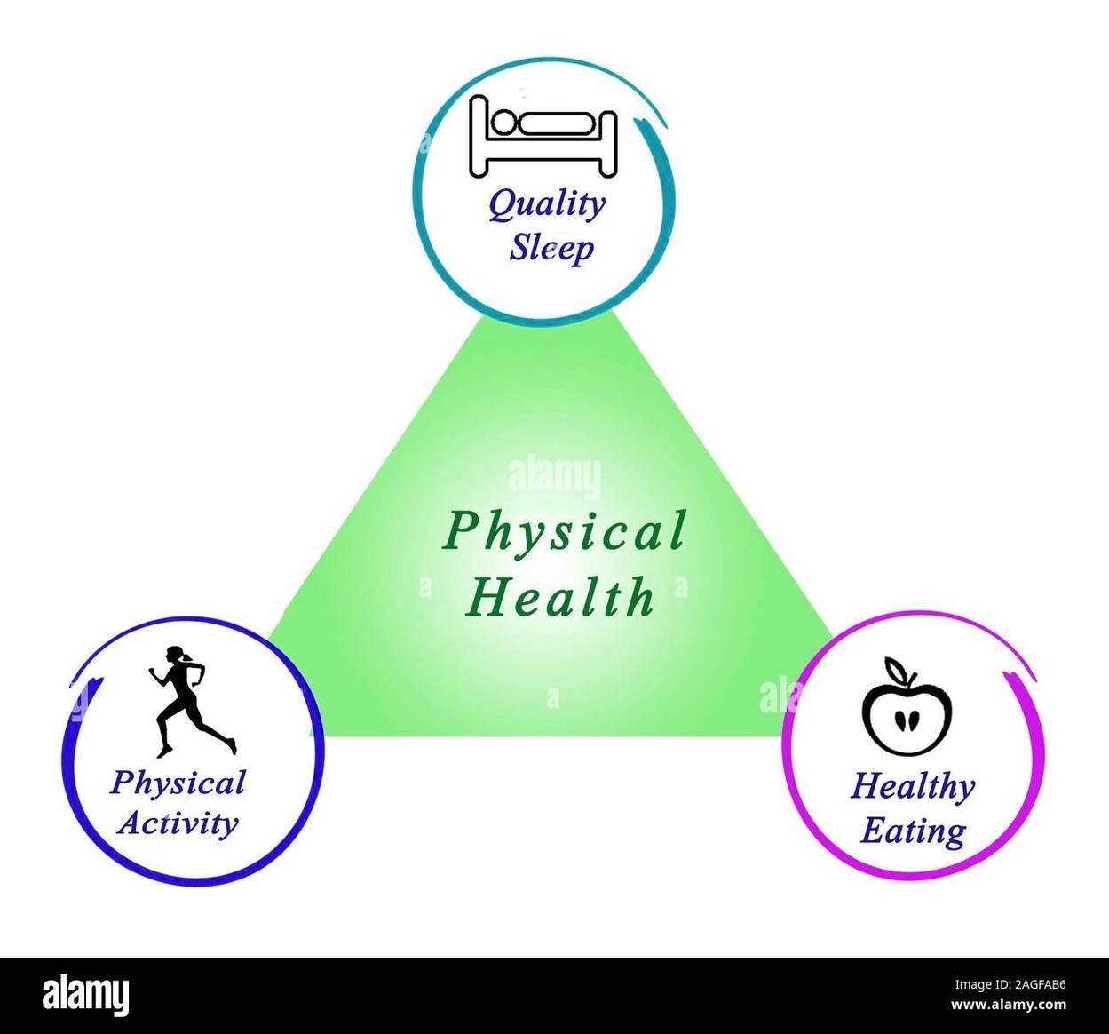 Human Health Diagram Explained