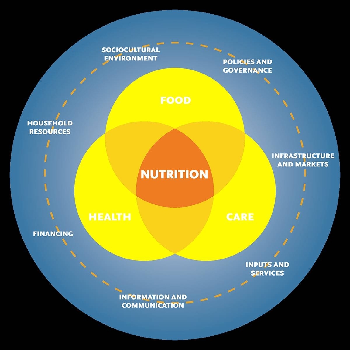 Human Nutrition Diagram