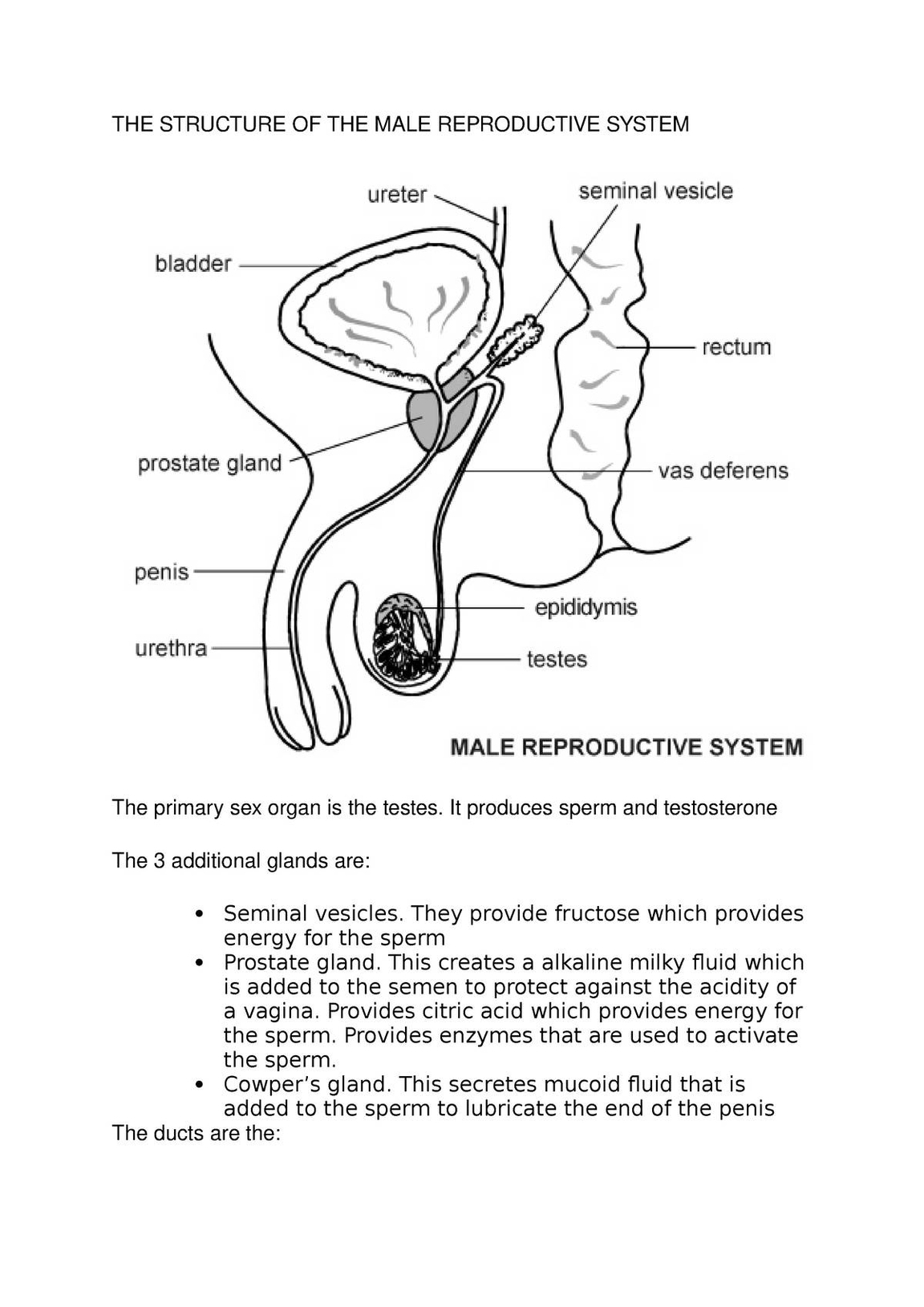 Human Reproduction