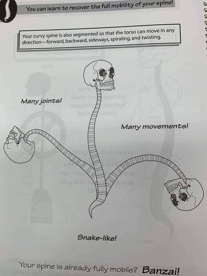 Invention Patent Example
