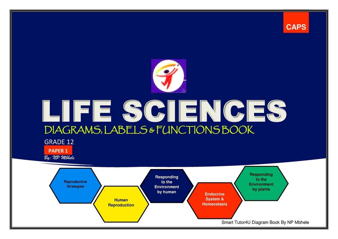 Life Sciences Caps Diagrams Grade 12
