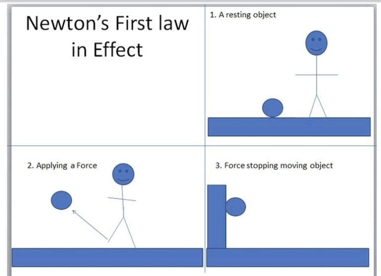 Newtons First Law Diagram Ygraph 8366
