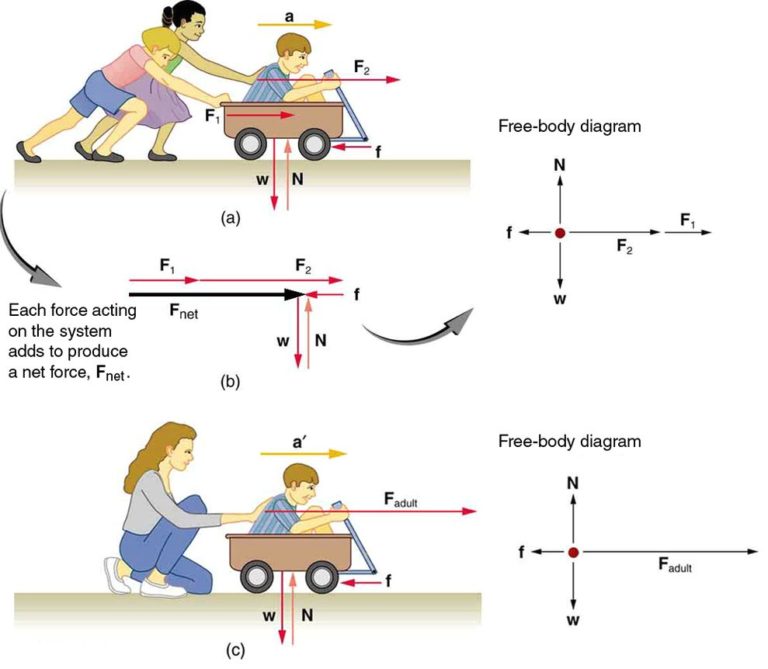 Newtons second law of motion - Ygraph