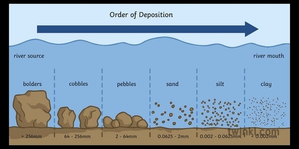 Order Of Deposition Diagram