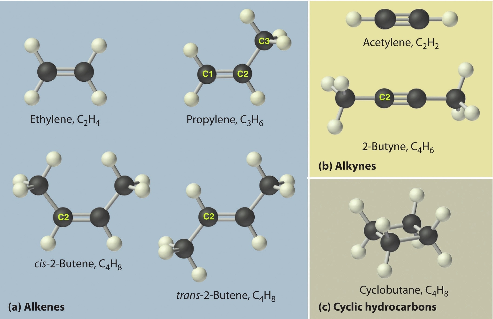 Organic Compounds