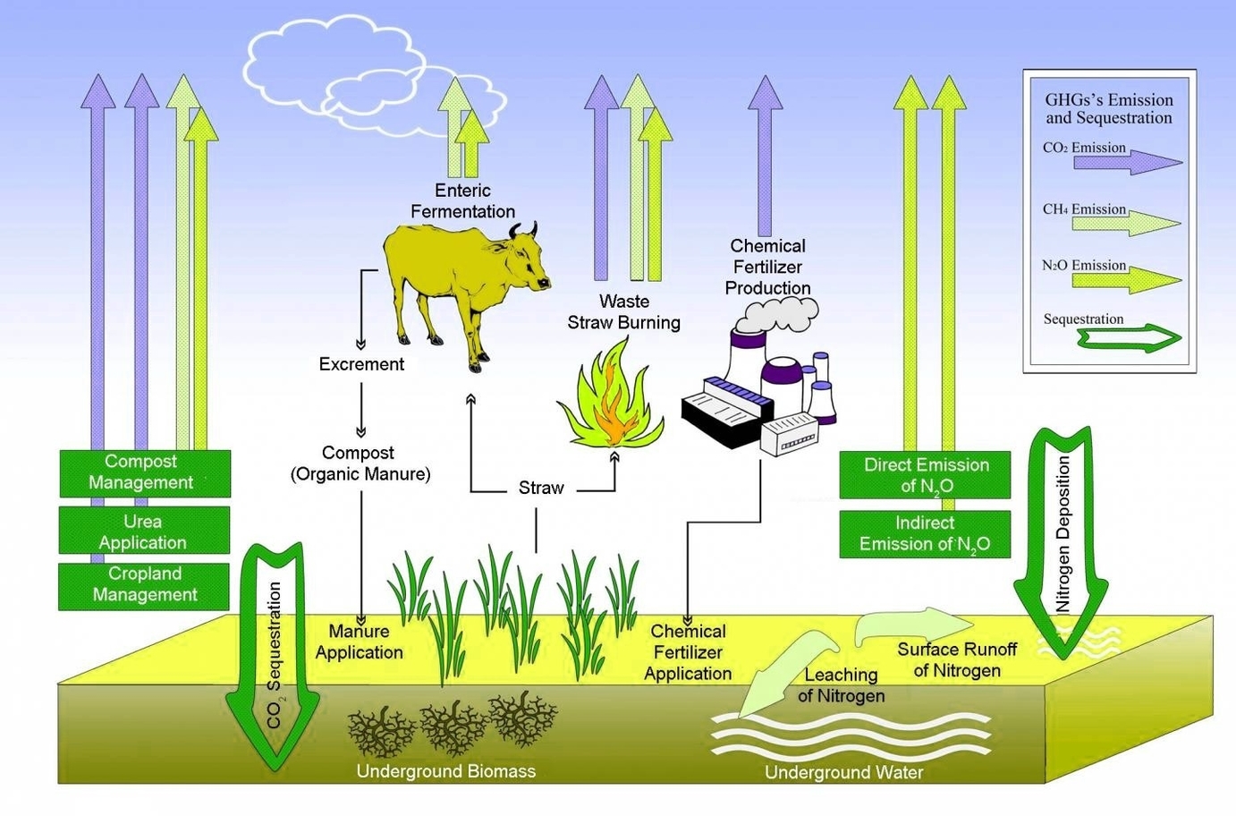 Organic Farming And Carbon Sequestration
