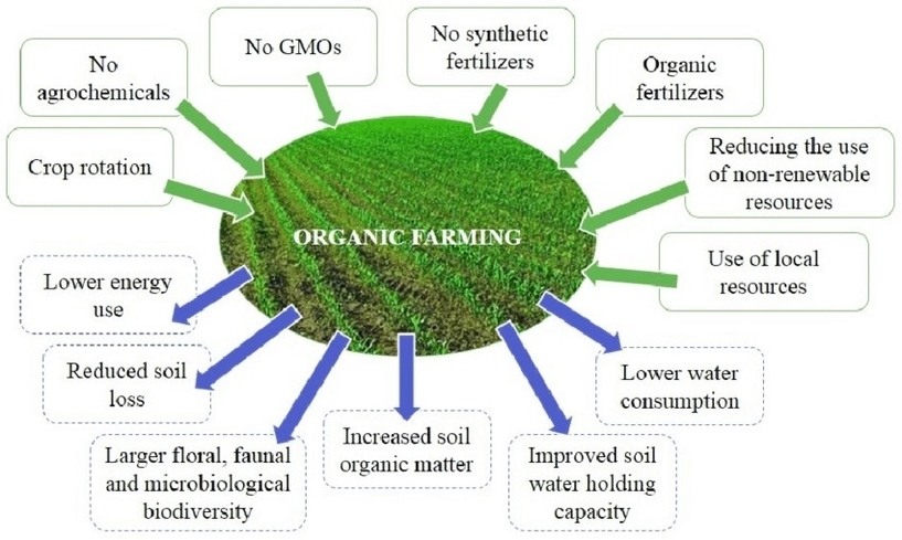 Organic Farming Principles And Effects