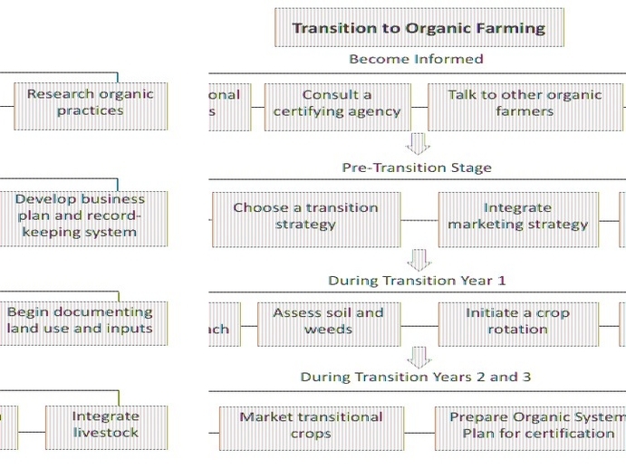 Organic Production Flowchart