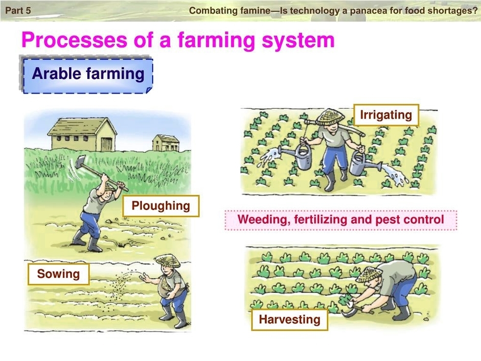 Processes Of A Farming System