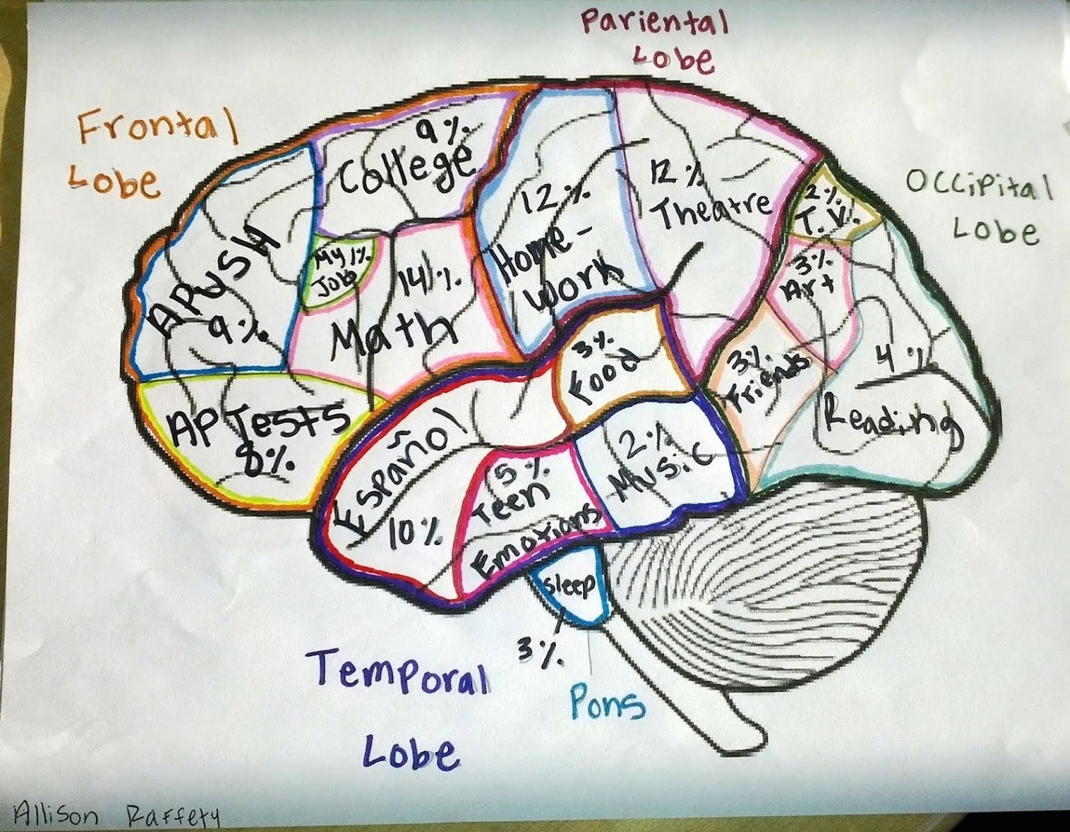 Psychology of brain diagram