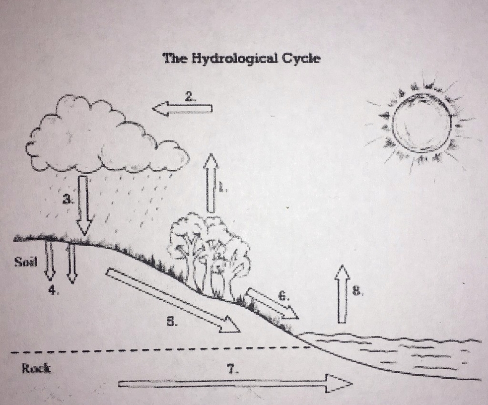 Quantum Physics Diagram 98