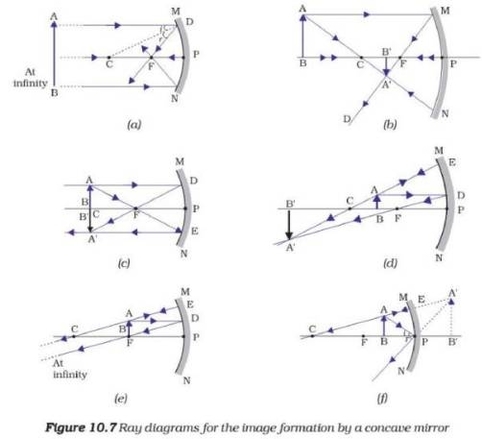 Science Diagram Class 10