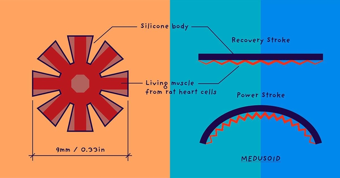 Science Diagrams Explanation